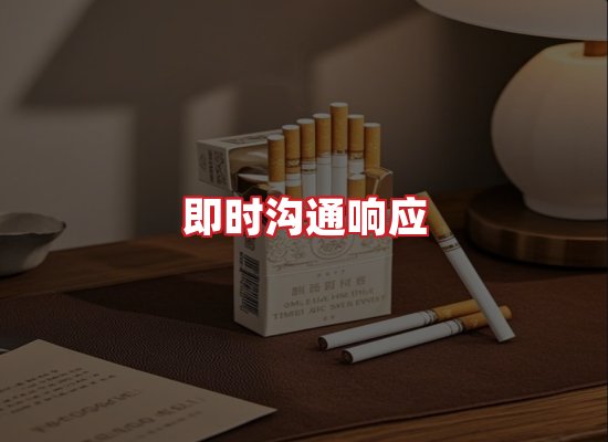 专业团队